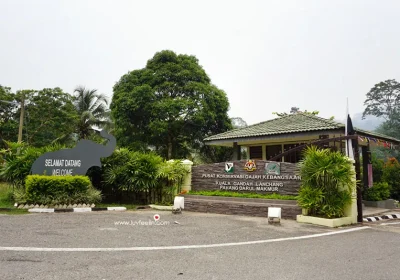 Optional Activities & Entrance Fees