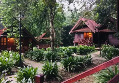 Taman Negara National Park Day Tour from Kuala Lumpur