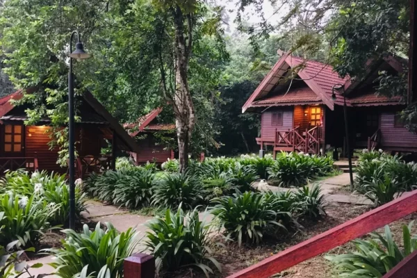 Taman Negara National Park Day Tour from Kuala Lumpur
