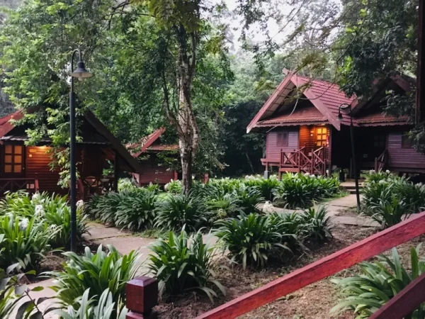 Taman Negara National Park Day Tour from Kuala Lumpur