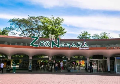 Zoo Negara & Monkey Canopy Adventure Day Tour